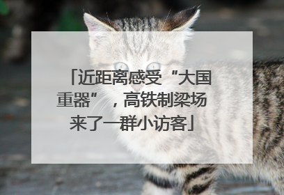 近距离感受“大国重器”，高铁制梁场来了一群小访客