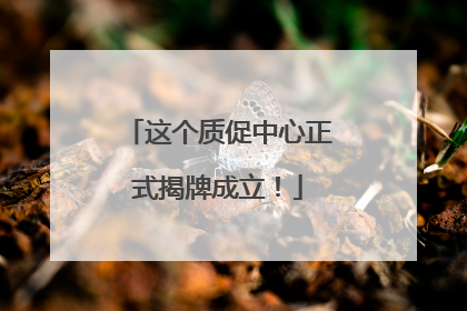 这个质促中心正式揭牌成立！