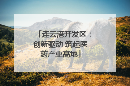 连云港开发区：创新驱动 筑起医药产业高地