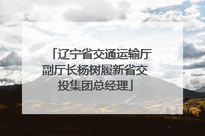 辽宁省交通运输厅副厅长杨树履新省交投集团总经理