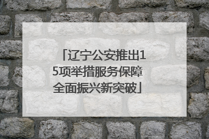 辽宁公安推出15项举措服务保障全面振兴新突破