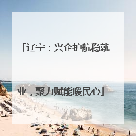辽宁：兴企护航稳就业，聚力赋能暖民心
