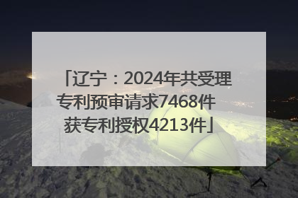 辽宁：2024年共受理专利预审请求7468件 获专利授权4213件