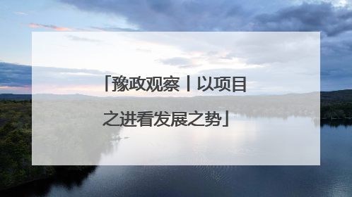 豫政观察丨以项目之进看发展之势