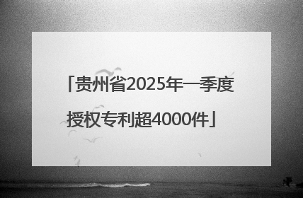 贵州省2025年一季度授权专利超4000件