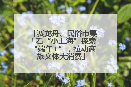 赛龙舟、民俗市集！看“小上海”探索“端午+”，拉动商旅文体大消费