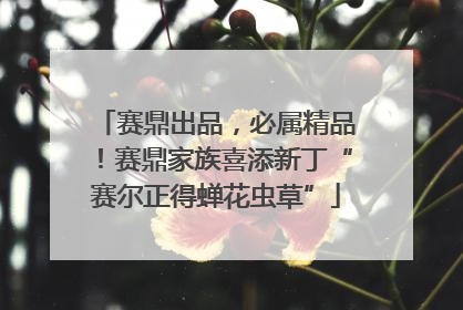 赛鼎出品，必属精品！赛鼎家族喜添新丁“赛尔正得蝉花虫草”