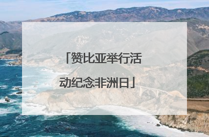赞比亚举行活动纪念非洲日
