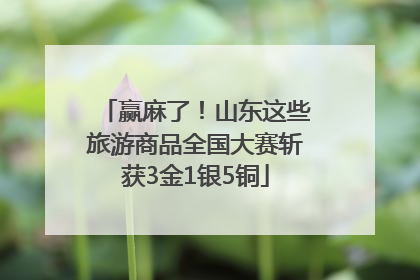 赢麻了！山东这些旅游商品全国大赛斩获3金1银5铜