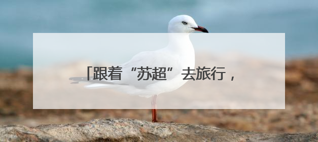跟着“苏超”去旅行，畅享免费游玩周庄古镇