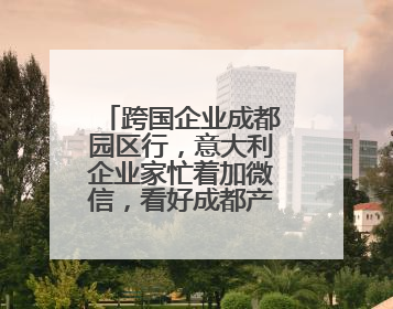 跨国企业成都园区行，意大利企业家忙着加微信，看好成都产业优势