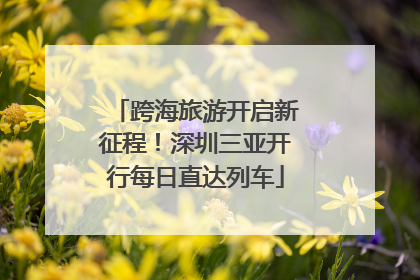 跨海旅游开启新征程！深圳三亚开行每日直达列车