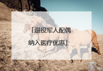 退役军人配偶纳入医疗优惠