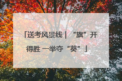 送考风景线｜“旗”开得胜 一举夺“葵”