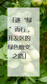 逐“绿”而行，开发区的绿色嬗变之路