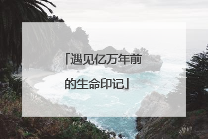 遇见亿万年前的生命印记