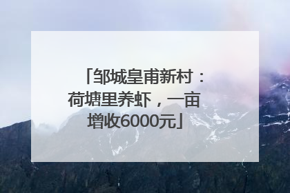 邹城皇甫新村：荷塘里养虾，一亩增收6000元