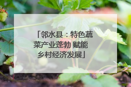 邻水县：特色蔬菜产业蓬勃 赋能乡村经济发展