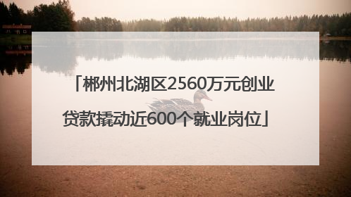 郴州北湖区2560万元创业贷款撬动近600个就业岗位