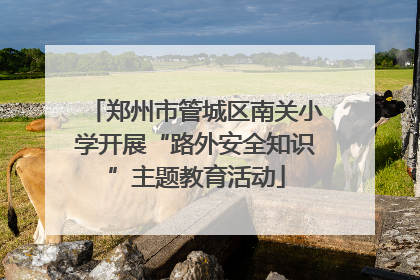 郑州市管城区南关小学开展“路外安全知识”主题教育活动