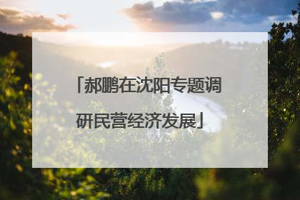 郝鹏在沈阳专题调研民营经济发展