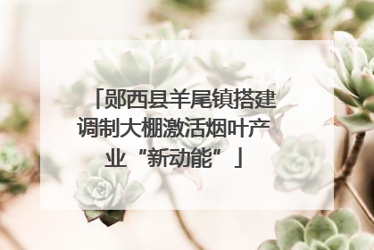 郧西县羊尾镇搭建调制大棚激活烟叶产业“新动能”