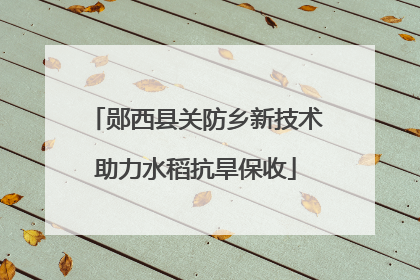 郧西县关防乡新技术助力水稻抗旱保收