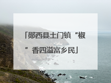 郧西县土门镇“椒”香四溢富乡民