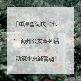 重温誓词庆“七一” 海州公安系列活动筑牢忠诚警魂