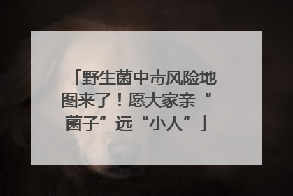 野生菌中毒风险地图来了！愿大家亲“菌子”远“小人”