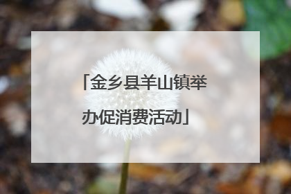 金乡县羊山镇举办促消费活动