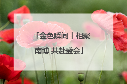 金色瞬间丨相聚南博 共赴盛会
