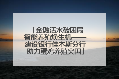 金融活水破困局 智能养殖焕生机——建设银行佳木斯分行助力蛋鸡养殖突围