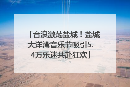 音浪激荡盐城！盐城大洋湾音乐节吸引5.4万乐迷共赴狂欢