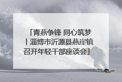 青燕争锋 同心筑梦丨淄博市沂源县燕崖镇召开年轻干部座谈会
