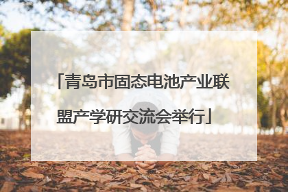 青岛市固态电池产业联盟产学研交流会举行