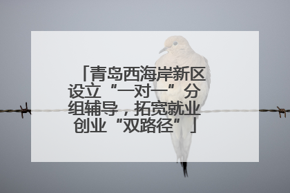 青岛西海岸新区设立“一对一”分组辅导，拓宽就业创业“双路径”