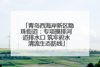 青岛西海岸新区隐珠街道：专项摸排河道排水口 筑牢碧水清流生态防线