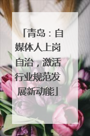 青岛：自媒体人上岗自治，激活行业规范发展新动能