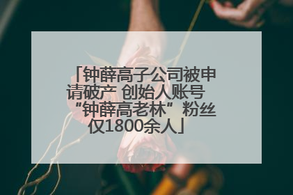 钟薛高子公司被申请破产 创始人账号“钟薛高老林”粉丝仅1800余人