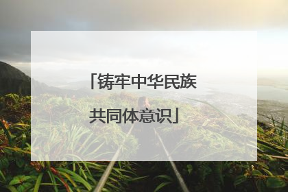 铸牢中华民族共同体意识