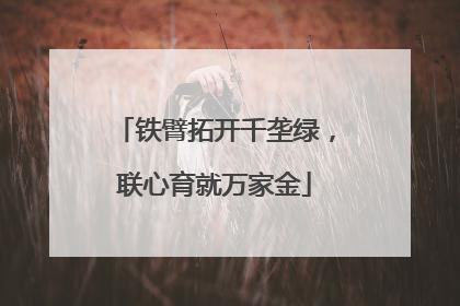 铁臂拓开千垄绿，联心育就万家金