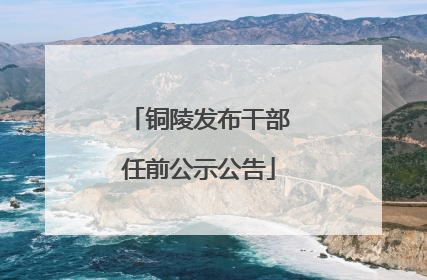 铜陵发布干部任前公示公告