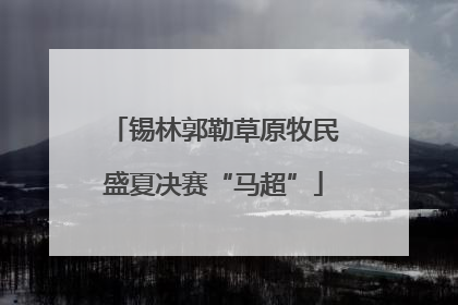 锡林郭勒草原牧民盛夏决赛“马超”