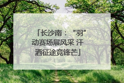 长沙南：“羽”动赛场展风采 汗洒征途竞锋芒