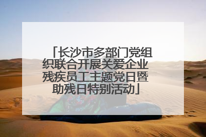 长沙市多部门党组织联合开展关爱企业残疾员工主题党日暨助残日特别活动