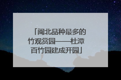 闽北品种最多的竹观赏园——杜潭百竹园建成开园