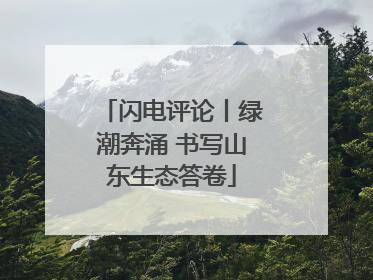 闪电评论丨绿潮奔涌 书写山东生态答卷