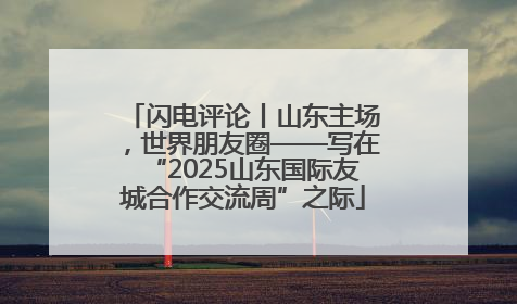 闪电评论丨山东主场，世界朋友圈——写在“2025山东国际友城合作交流周”之际