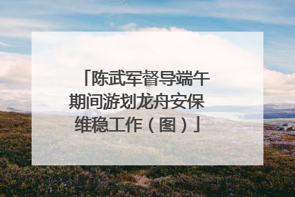 陈武军督导端午期间游划龙舟安保维稳工作（图）